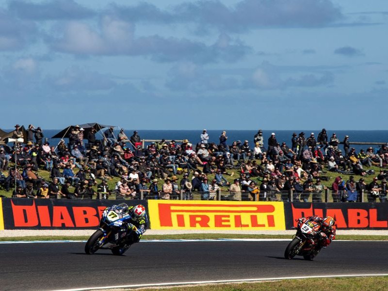 230226PhillipIsland_0968x900.jpg